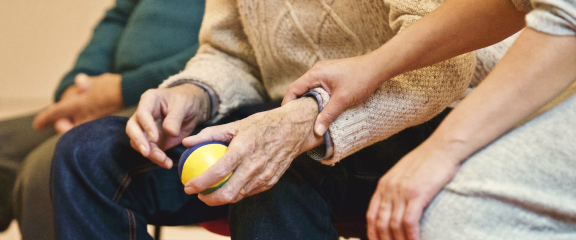 What are the 4 type of caregivers?