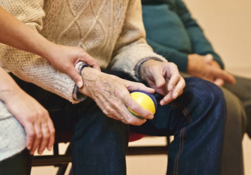 What are the 4 type of caregivers?